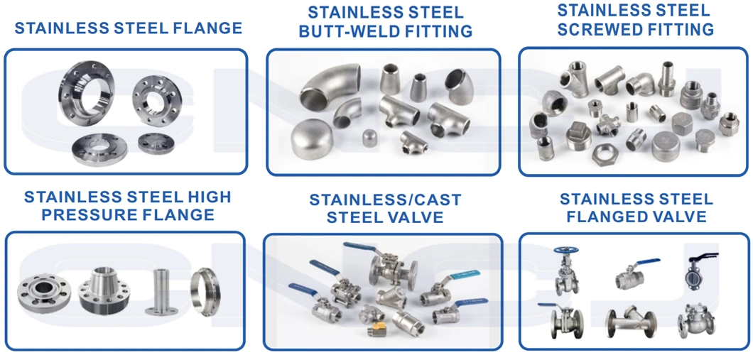 ANSI Ring Joint Face Flange / Class 900 1500 2500lbs API 10000psi Rtj Blind Slip-on Welding Neck Connection Flange Supplier