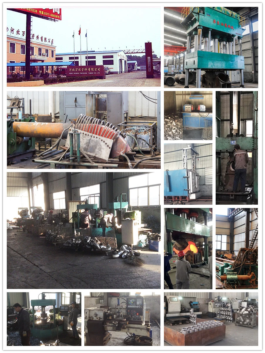 ANSI/DIN Forged Carbon/Stainless Steel Pn10/16 Welding Neck/Blind/Slip on/Lap Joint/Flat Plate/Socket RF/FF Pipe Flanges