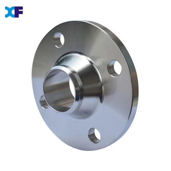 ANSI/DIN/GB Welding Neck Flange Stainless Steel Pipe Blank Flange