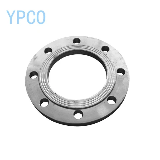 ANSI/DIN/GOST/En A105 304L 316L Weld Neck/Slip on/Blind Forged Steel Pipe Flange