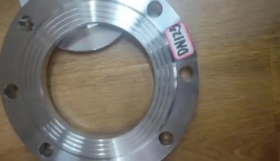 ANSI/DIN/En1092-1 Forged Carbon/Stainless Steel Pn10/16 Welding Neck/Blind/Slip on/Flat Plate/Socket RF/FF Pipe Flanges