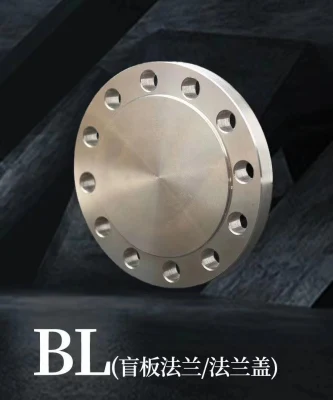 ASME ANSI DIN GOST BS En RF FF Rtj 150#-2500# Carbon Steel Stainless Steel Alloy Steel Slip on Flange